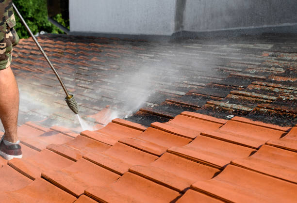 Best Garage Pressure Washing  in Island Walk, FL