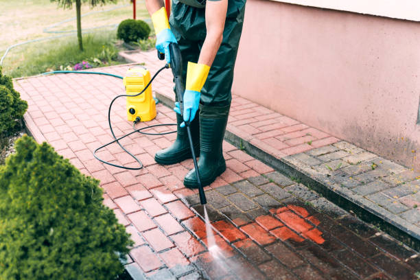 Deck Cleaning Services in Island Walk, FL
