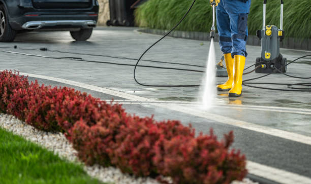 Best Affordable Power Washing  in Island Walk, FL