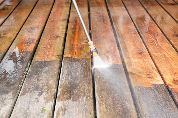 Best Residential Pressure Washing Services  in Island Walk, FL