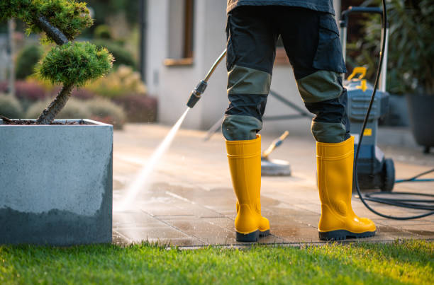 Best Local Pressure Washing Services  in Island Walk, FL